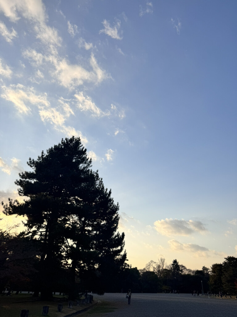 京都御苑の秋の空の写真